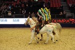 Quadrille - 00258